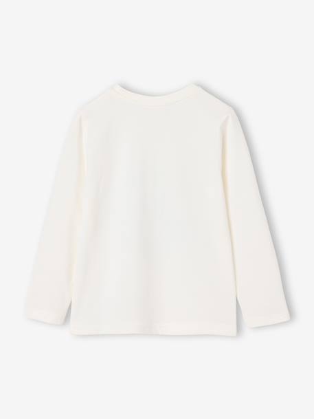 Long-sleeved T-shirt for boys anthracite+cappuccino+red+sage green+white - vertbaudet enfant 