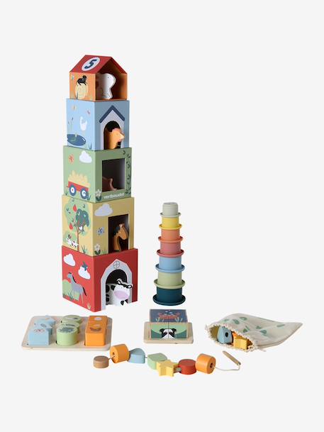 Discovery set: FINE MOTOR SKILLS, BALANCE AND EARLY REASONING in FSC® wood multicoloured - vertbaudet enfant 
