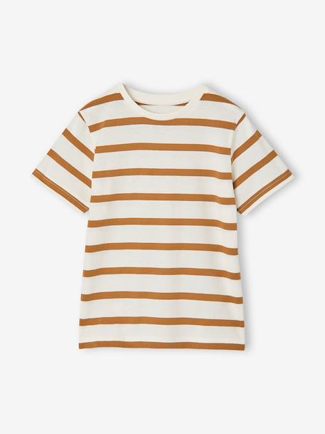 Pack of 3 short-sleeved t-shirts almond green+caramel+navy blue+pecan nut+petrol blue+sage green - vertbaudet enfant 
