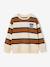 Striped sweatshirt with crew neck for boys hazel+navy blue+pistachio - vertbaudet enfant 