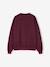 Oversized Leopard Print Slogan Sweatshirt for Girls, JONEN anthracite+bordeaux red - vertbaudet enfant 