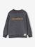 Crewneck sweatshirt for boys slate grey - vertbaudet enfant 
