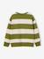 Striped sweatshirt with crew neck for boys hazel+navy blue+pistachio - vertbaudet enfant 