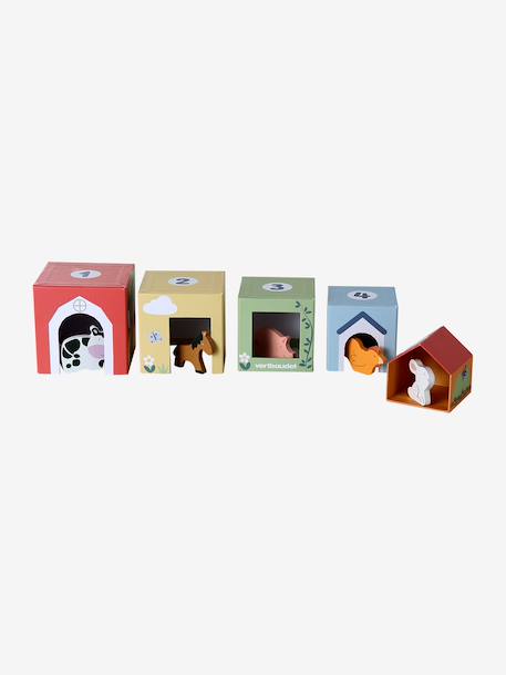 Discovery set: FINE MOTOR SKILLS, BALANCE AND EARLY REASONING in FSC® wood multicoloured - vertbaudet enfant 