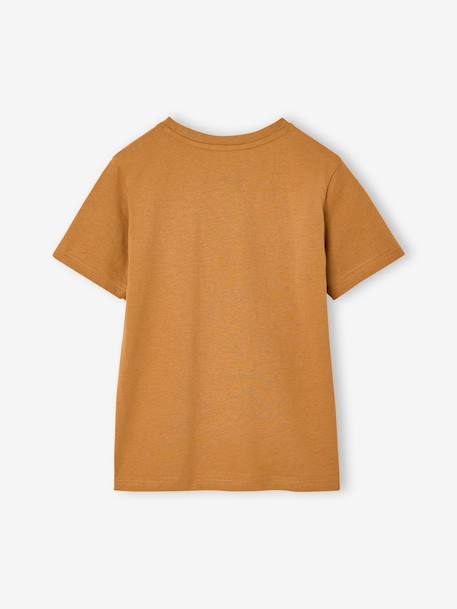 Lot 3 T-shirt manches courtes bleu pétrole+caramel+marine+noix de pécan+vert amande+vert sauge - vertbaudet enfant 