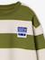Sweat garçon col rond marine+noisette+pistache - vertbaudet enfant 
