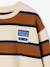 Striped sweatshirt with crew neck for boys hazel+navy blue+pistachio - vertbaudet enfant 