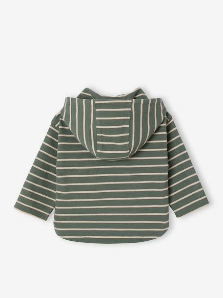 T-shirt à capuche bébé bleu glacier+sable+tomette+vert - vertbaudet enfant 
