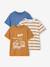 Pack of 3 short-sleeved t-shirts almond green+caramel+navy blue+pecan nut+petrol blue+sage green - vertbaudet enfant 