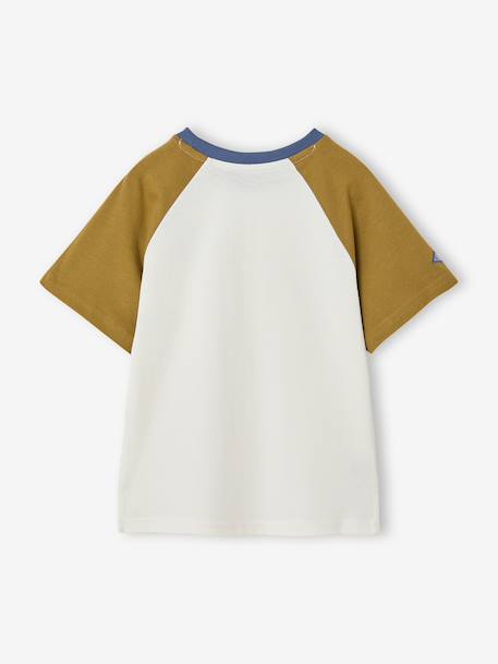 Short-sleeved T-shirt for boys khaki - vertbaudet enfant 