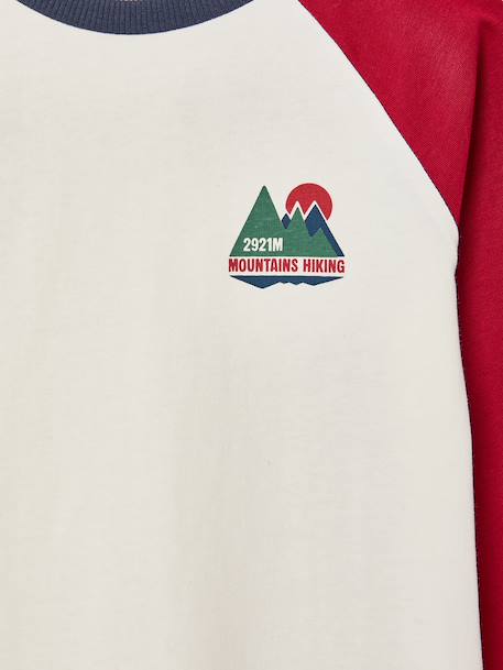 Long-sleeved T-shirt for boys bordeaux red+ochre+sage green - vertbaudet enfant 