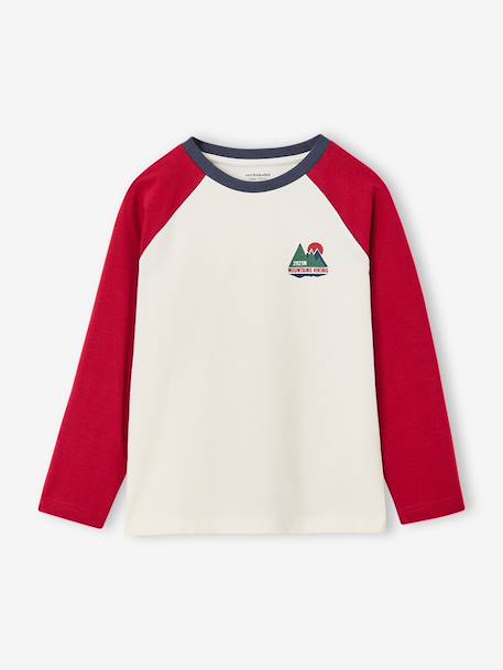 Long-sleeved T-shirt for boys bordeaux red+ochre+sage green - vertbaudet enfant 