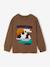 Long-sleeved T-shirt for boys hazel+navy blue - vertbaudet enfant 