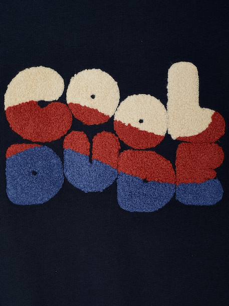 Long-sleeved T-shirt for boys hazel+navy blue - vertbaudet enfant 