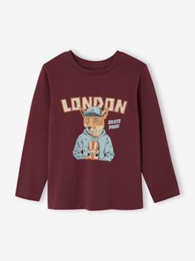 Boys-Long-sleeved T-shirt for boys