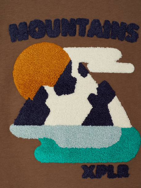 T-shirt manches longues garçon marine+noisette - vertbaudet enfant 