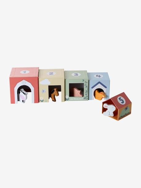 Discovery set: FINE MOTOR SKILLS, BALANCE AND EARLY REASONING in FSC® wood multicoloured - vertbaudet enfant 