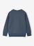 Sweatshirt with front print for boys marl red+marl white+night blue - vertbaudet enfant 