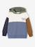 Colourblock Hoodie for Boys, Basics hazel+multicoloured - vertbaudet enfant 