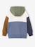 Colourblock Hoodie for Boys, Basics hazel+multicoloured - vertbaudet enfant 