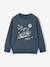Sweatshirt with front print for boys marl red+marl white+night blue - vertbaudet enfant 