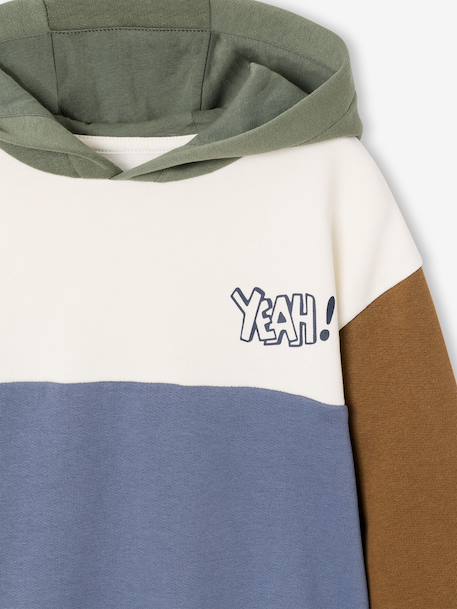 Colourblock Hoodie for Boys, Basics hazel+multicoloured - vertbaudet enfant 