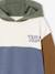 Colourblock Hoodie for Boys, Basics hazel+multicoloured - vertbaudet enfant 