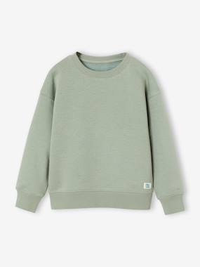 Garçon-Lot de 2 sweats garçon col rond