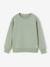 Pack of 2 crew neck sweatshirts for boys sage green - vertbaudet enfant 