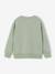 Lot de 2 sweats garçon col rond vert sauge - vertbaudet enfant 