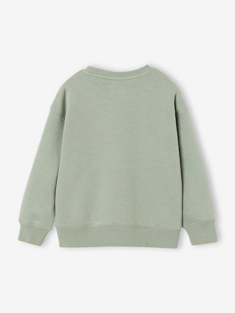 Pack of 2 crew neck sweatshirts for boys sage green - vertbaudet enfant 
