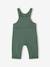 Fleece Dungarees for Babies BLUE DARK SOLID+dark green - vertbaudet enfant 
