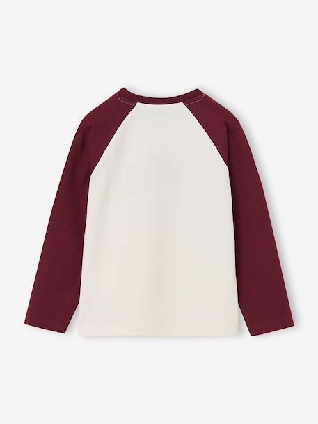 Long-sleeved raglan T-shirt for boys bordeaux red - vertbaudet enfant 