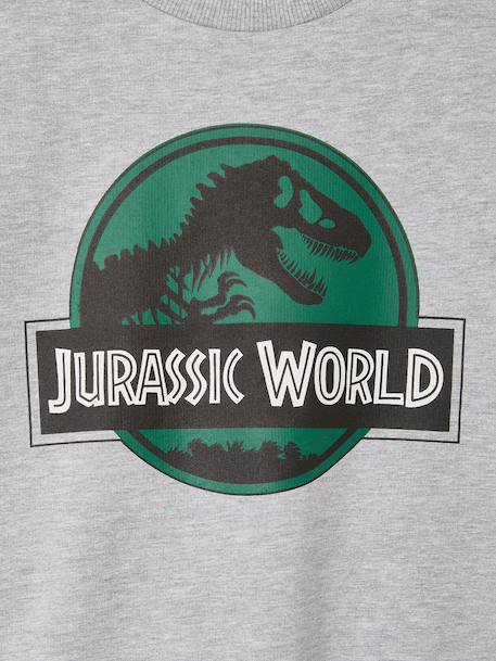 Sweatshirt Jurassic World for boys marl grey - vertbaudet enfant 
