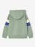Sweat garçon à capuche motif placé blanc+lichen+marine+noix de pécan+vert sauge - vertbaudet enfant 
