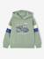 Sweat garçon à capuche motif placé blanc+lichen+marine+noix de pécan+vert sauge - vertbaudet enfant 