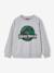 Sweatshirt Jurassic World for boys marl grey - vertbaudet enfant 