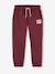 Pantalon de jogging garçon bordeaux+gris ardoise - vertbaudet enfant 