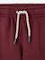 Pantalon de jogging garçon bordeaux+gris ardoise - vertbaudet enfant 