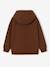 Hoodie for boys by Minecraft chocolate - vertbaudet enfant 