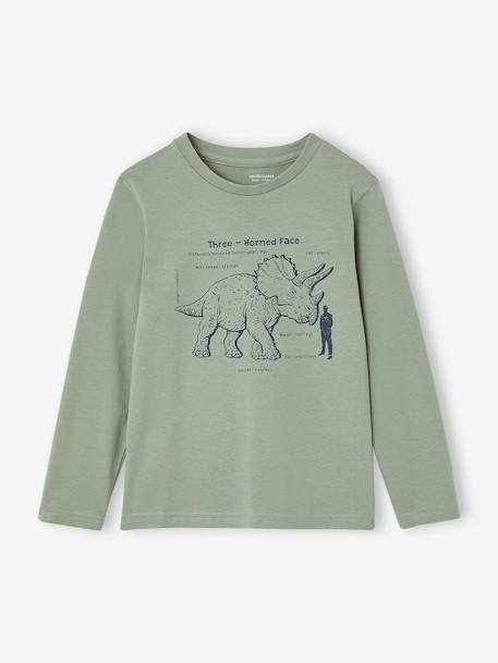 Pack of 3 long-sleeved T-shirts for boys caramel+lilac+rust+sage green - vertbaudet enfant 