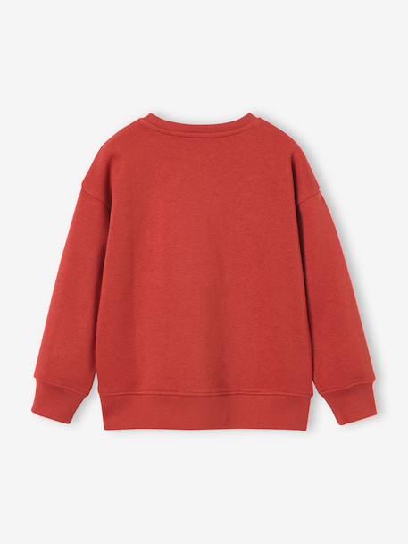 Crewneck sweatshirt for boys navy blue+tomato red - vertbaudet enfant 