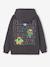 Hooded Brawl Stars sweatshirt for boys anthracite - vertbaudet enfant 