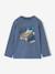 Long-sleeved T-shirt for boys medium blue - vertbaudet enfant 