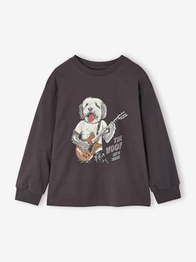 -T-shirt manches longues garçon