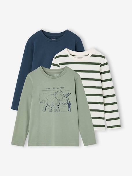 Pack of 3 long-sleeved T-shirts for boys caramel+lilac+rust+sage green - vertbaudet enfant 
