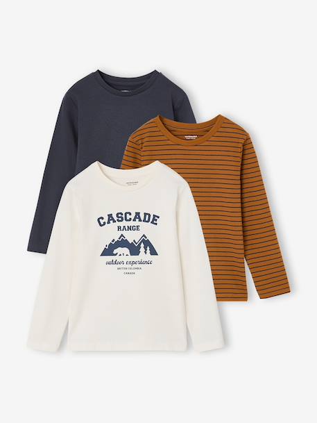 Pack of 3 long-sleeved T-shirts for boys caramel+lilac+rust+sage green - vertbaudet enfant 