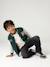 Sweat teddy garçon marine+vert sapin - vertbaudet enfant 