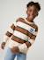 Striped sweatshirt with crew neck for boys hazel+navy blue+pistachio - vertbaudet enfant 
