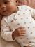 Pack of 5 long-sleeved bodysuits for newborn girls ecru - vertbaudet enfant 